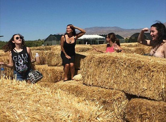 Gilcrease Orchard